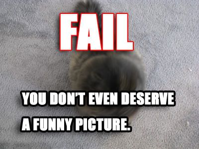 174a4291.jpg