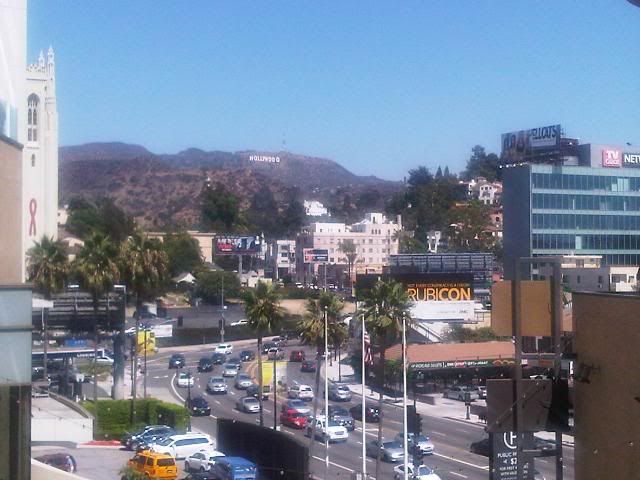 IMG00516-20100903-1246.jpg