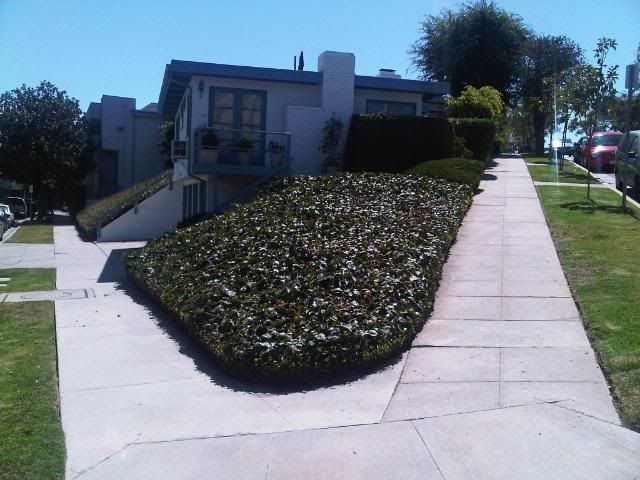 IMG00543-20100904-1127.jpg