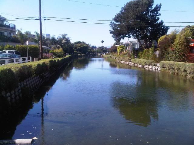IMG00559-20100904-1535.jpg