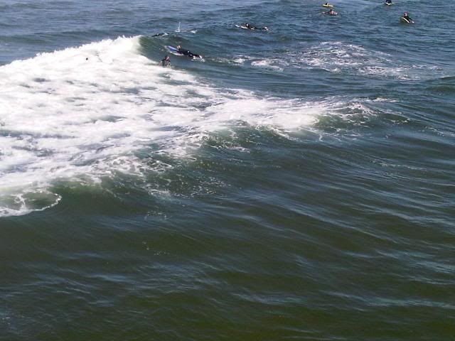 IMG00566-20100904-1552.jpg