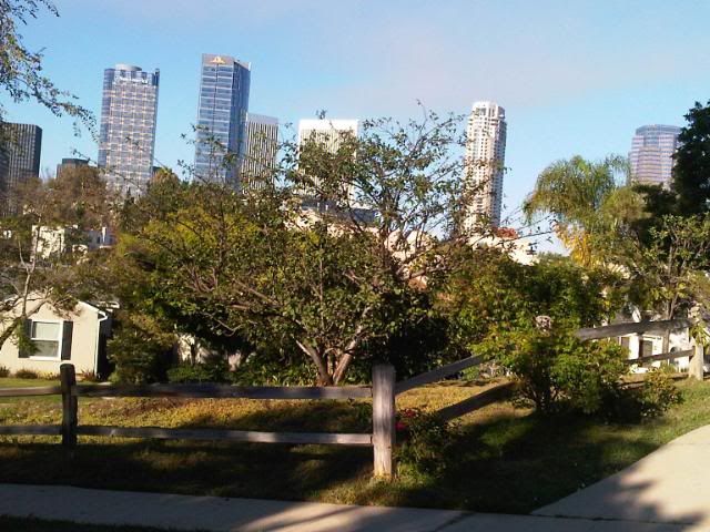 IMG00587-20100904-1752.jpg