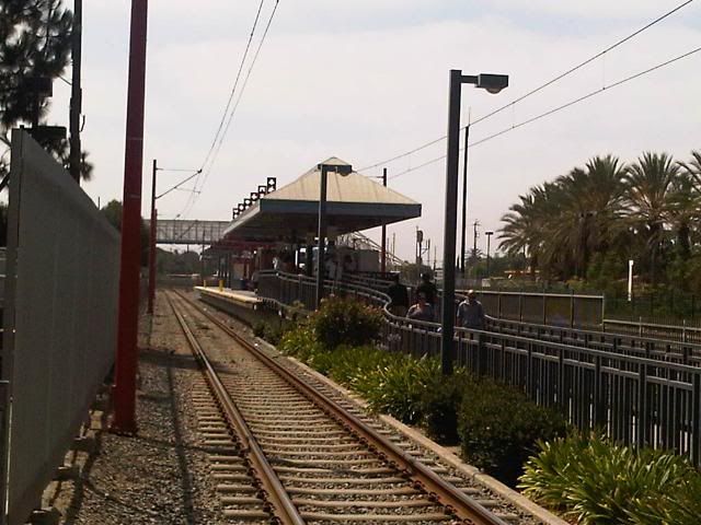 IMG00668-20100906-1128.jpg