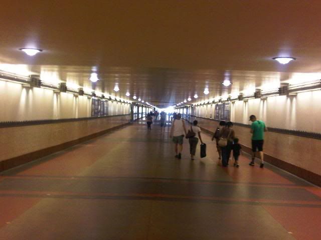 IMG00702-20100906-1451.jpg