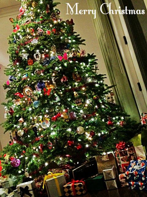 Merry%20Christmas%202016_zps2qyjx5yo.jpg