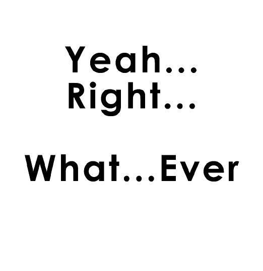 yeah-right.jpg