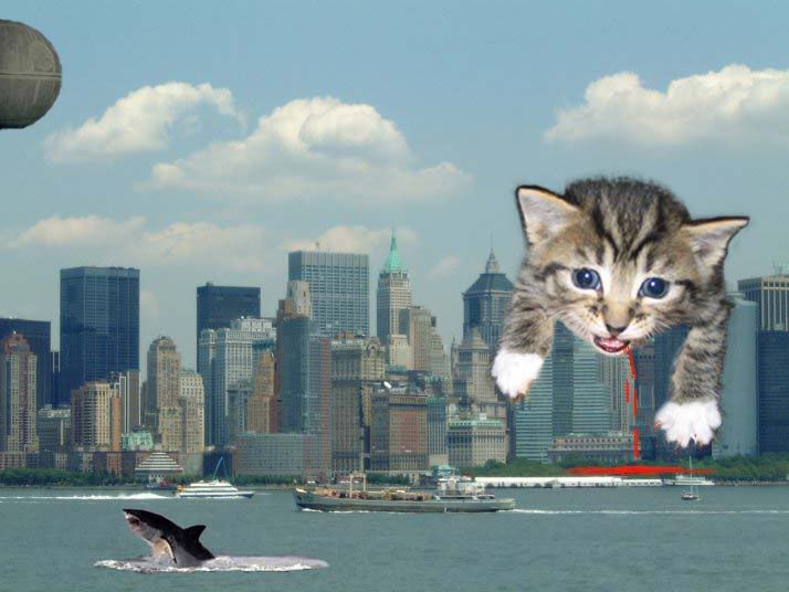 Image hosted by Photobucket.com