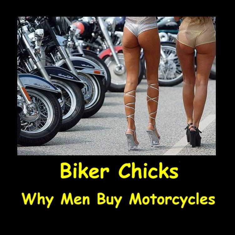 Biker Chicks Pictures, Images and Photos