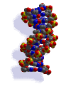 12 strands DNA Pictures, Images and Photos