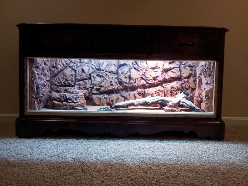 Completed Enclosure from Dresser! • Bearded Dragon . org