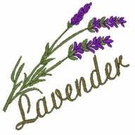 Lavender flower