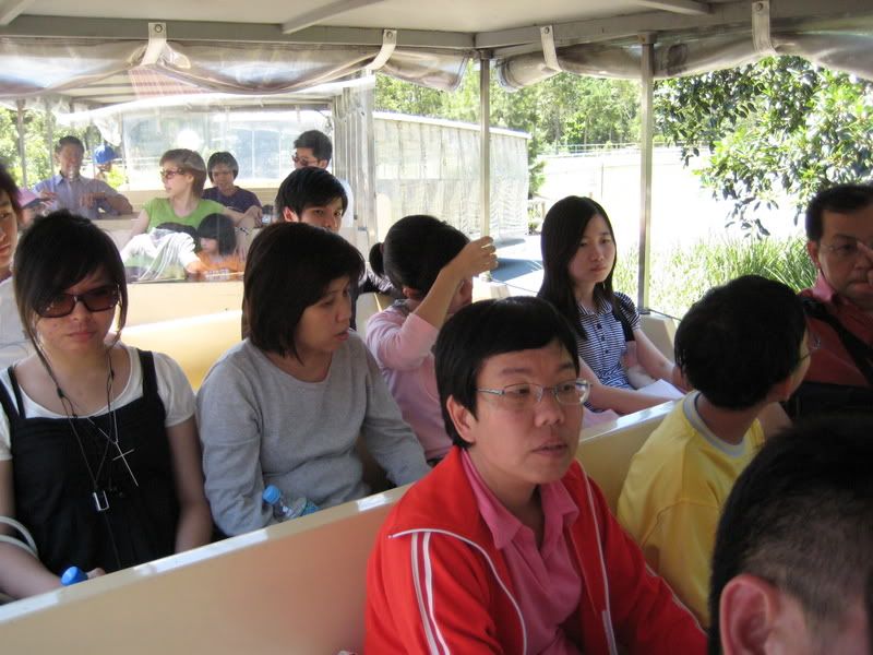 in the zoo train