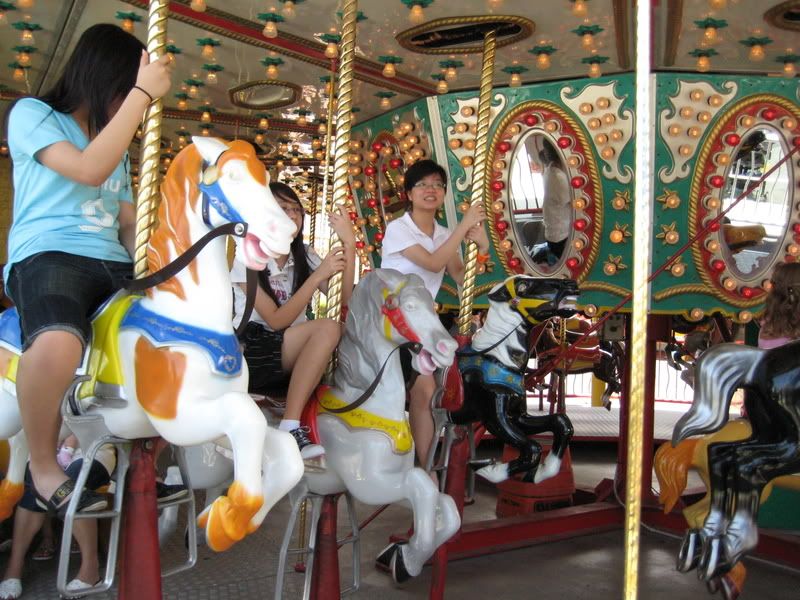 sis on merry go round