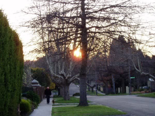 Beautiful picture of the sunset. Completely spooked out the guy walking his dog. He was like 'Woah! Where did that flash come from?' 