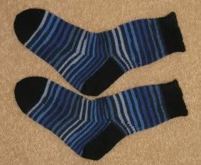 regia socks