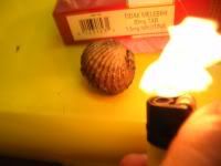 Simbolik..kerang dan nyalaan api (Bakar) menandakan kerang+bakar=Kerang Bakar!