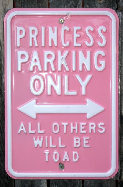 Princess parking photo ResizedPrincessParking_zpsd9d2e9f7.jpg