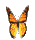 [صورة: ShowLetter.gif]