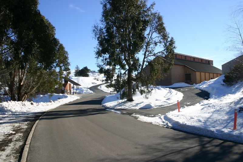 IMAGE: http://i21.photobucket.com/albums/b259/Pitbull05/IMG_9176.jpg