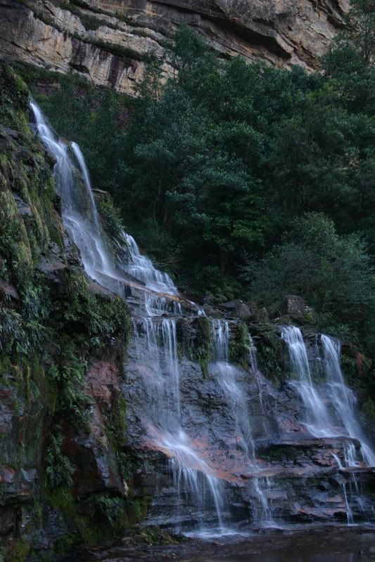 IMAGE: http://i21.photobucket.com/albums/b259/Pitbull05/IMG_9574.jpg