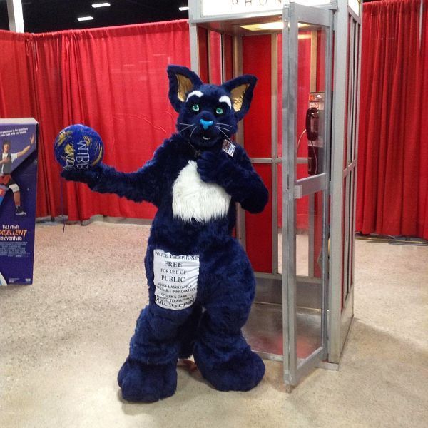  photo TardisCatTomKingsmill.jpg