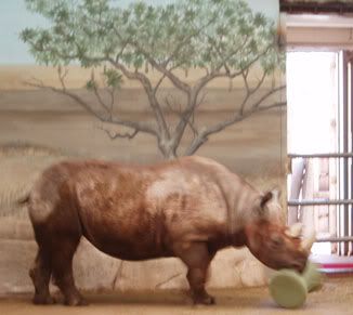Red Rhino didn't wanna stand still.