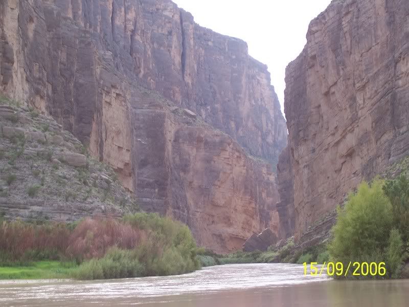 HAIL!.....help! - Homesteading Questions