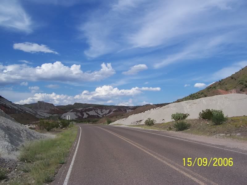 HAIL!.....help! - Homesteading Questions