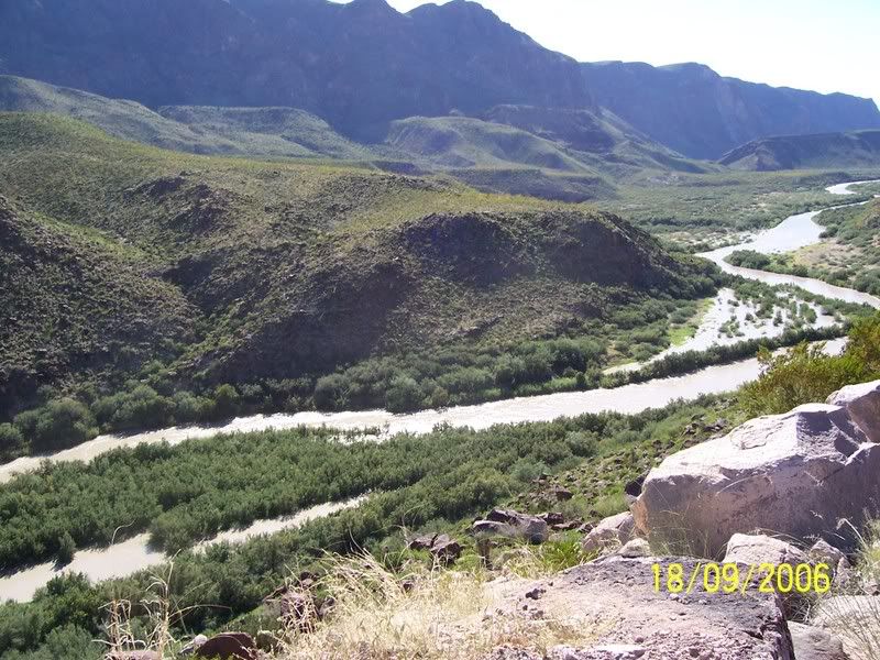 HAIL!.....help! - Homesteading Questions