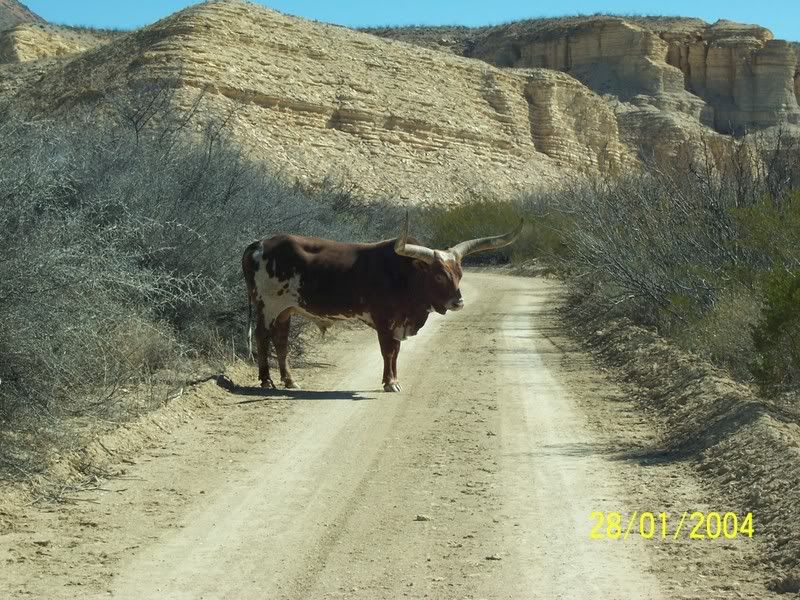 So Where's the Cheapest Land Now? - Homesteading Questions