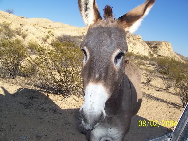 So Where's the Cheapest Land Now? - Homesteading Questions