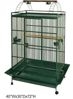 Cage1.jpg