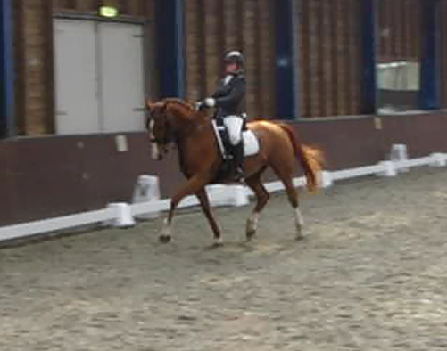 Afbeelding