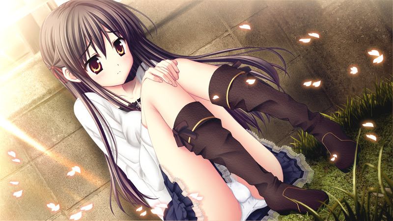 Konachan.com%20-%20143650%20akizuki_tsukasa%20black_hair%20game_cg%20karasuma_miyako%20long_hair%20panties%20petals%20sakura_sakimashita%20sorahane%20underwear.jpg