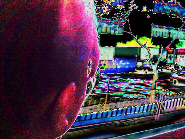 Image hosted by Photobucket.com