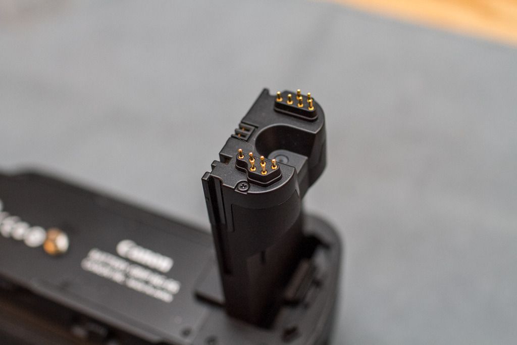 IMAGE: http://i21.photobucket.com/albums/b264/eworth/Canon%20Photos/IMG_1286_zps1g830dmu.jpg