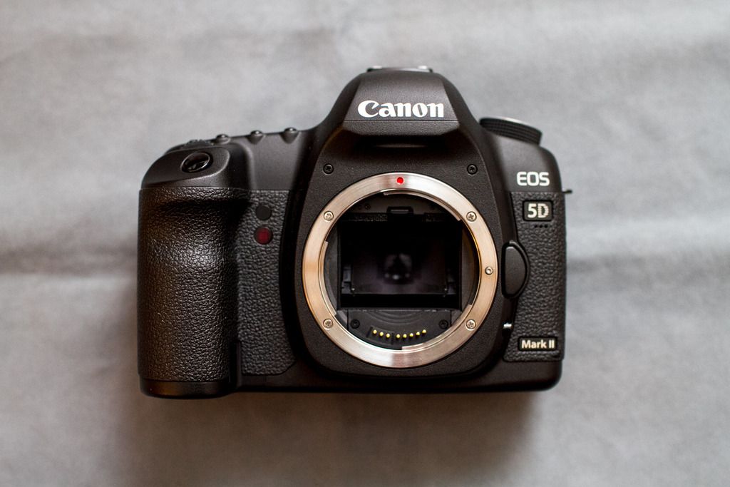 IMAGE: http://i21.photobucket.com/albums/b264/eworth/Canon%20Photos/IMG_1302_zpsfg2vzauu.jpg