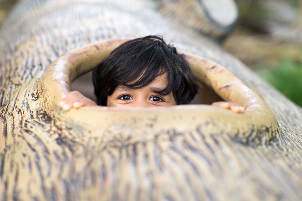 IMAGE: http://i21.photobucket.com/albums/b264/fernie94/IMG_1309_zpsr3aujqdn.jpg