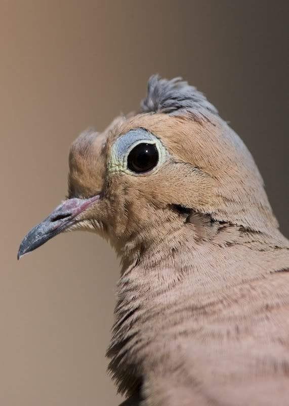 IMAGE: http://i21.photobucket.com/albums/b264/fernie94/IMG_2488.jpg