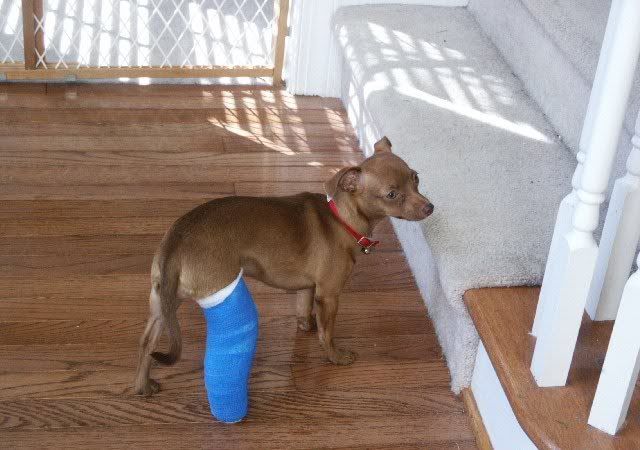 brokenleglola