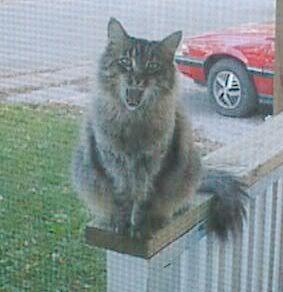 I am a vengeful god!!! Roar!