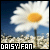 Daisy fanlisting