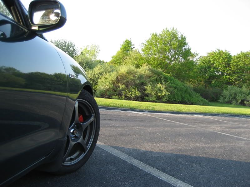 IPB Image