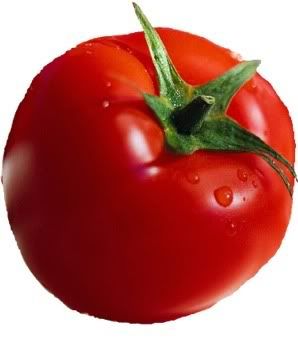 tomato Pictures, Images and Photos