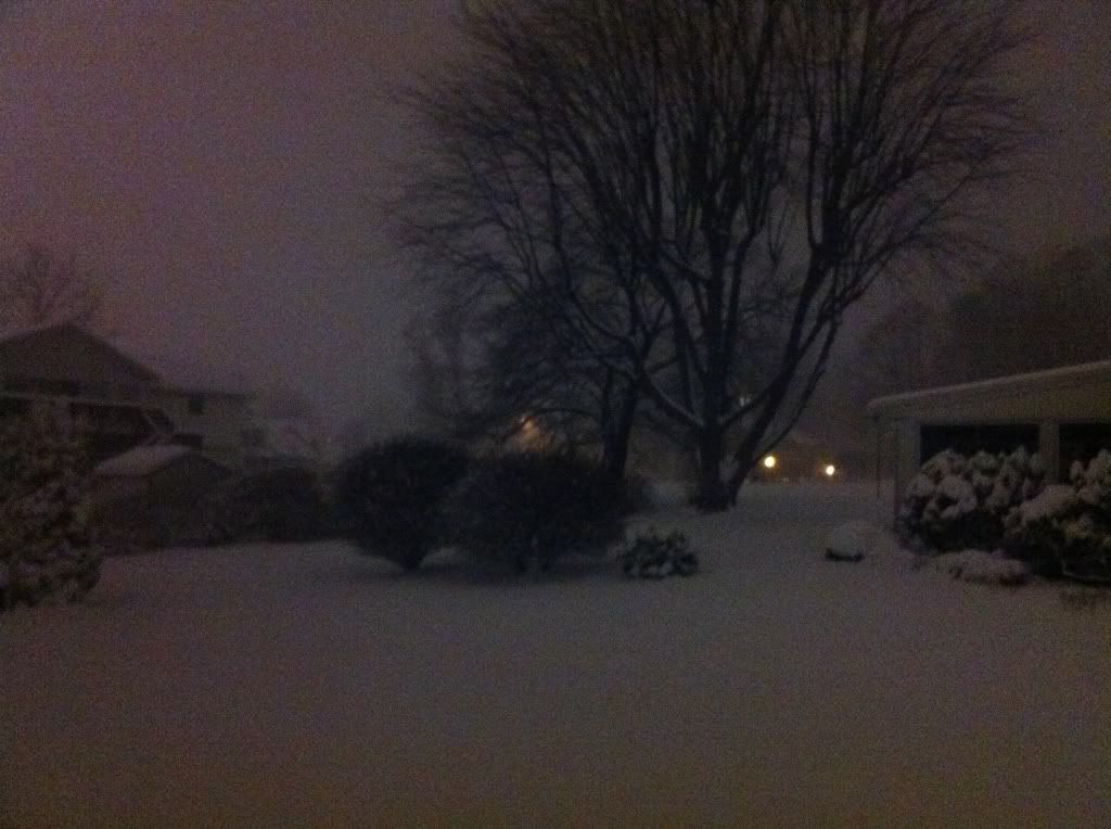 [Image: b4e48ae3.jpg]