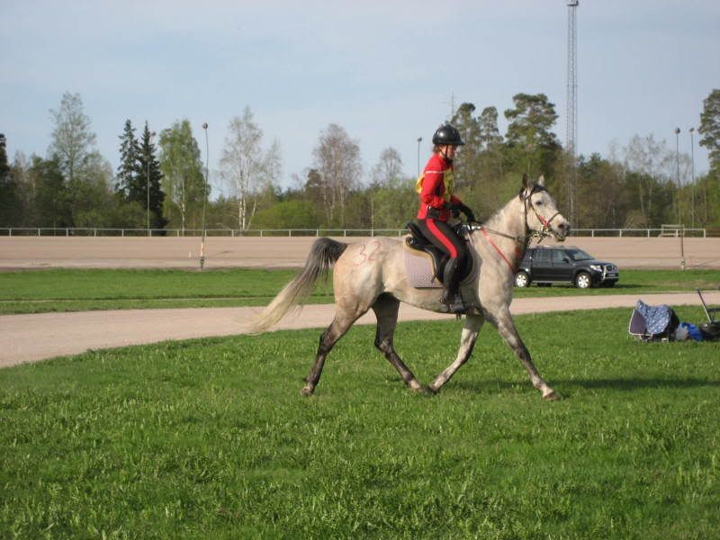 http://i21.photobucket.com/albums/b268/ichibon_/Maj2008119.jpg