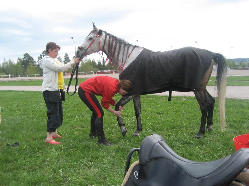 http://i21.photobucket.com/albums/b268/ichibon_/Maj2008182.jpg