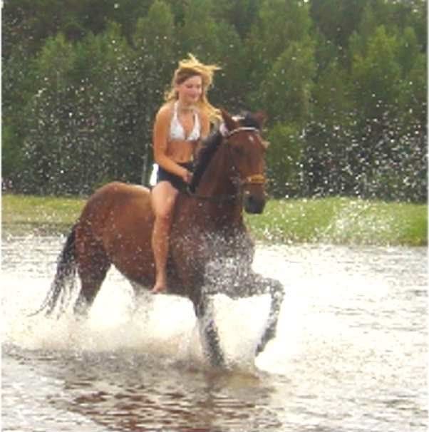 http://i21.photobucket.com/albums/b268/ichibon_/vatten2.jpg