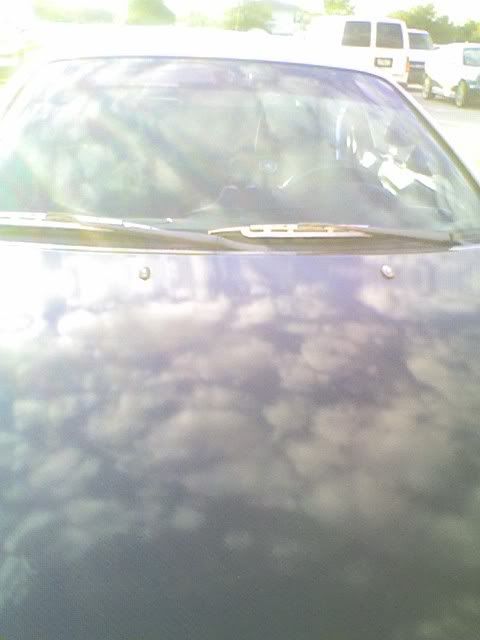 IPB Image