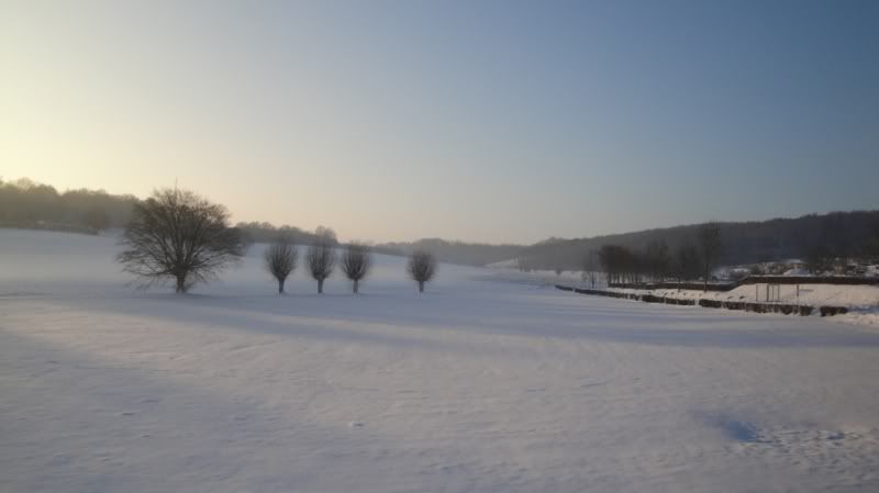 DSC00991a.jpg